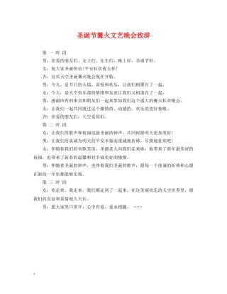 圣诞节篝火文艺晚会致辞 