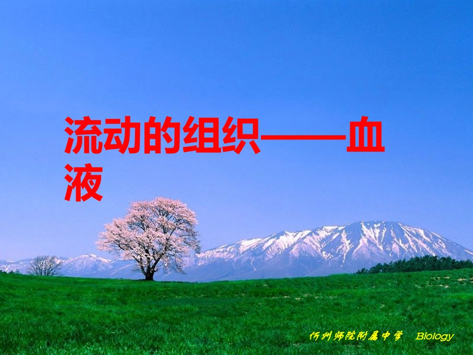 流动的组织-血液_第1页