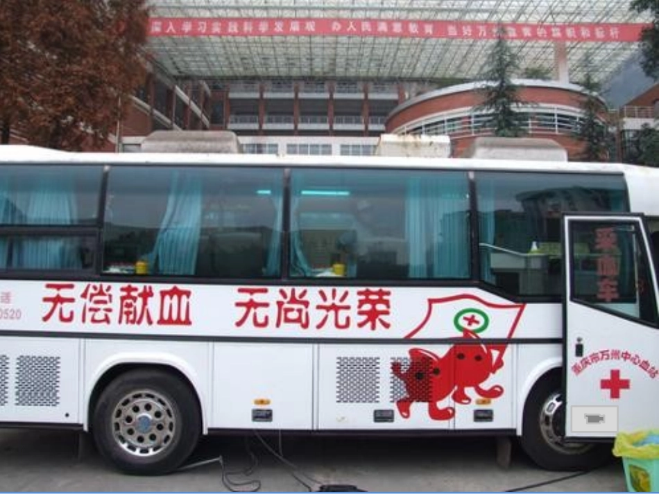 流动的组织-血液_第2页