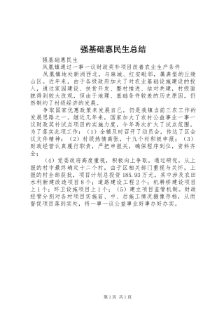 强基础惠民生总结 