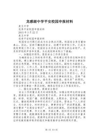 龙感湖中学平安校园申报材料