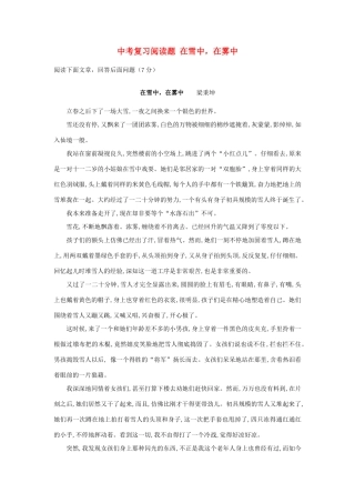 中考语文阅读题复习 在雪中，在雾中试卷