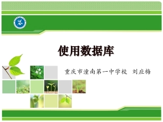 5.2.1使用数据库应用系统-(2)