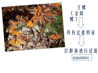 16.种群的特征