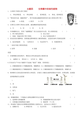 中考生物 主题四 生物圈中的绿色植物试卷