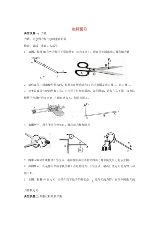 九年级物理上册 杠杆复习题 苏科版试卷