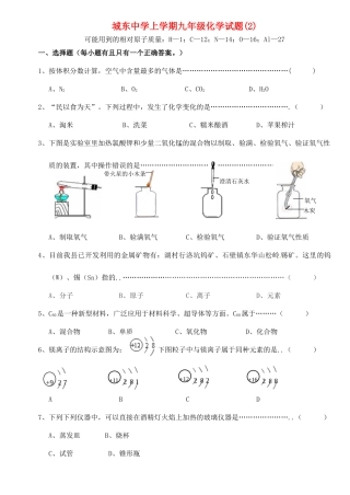 九年级化学辅导试卷2(优生，无答案)试卷