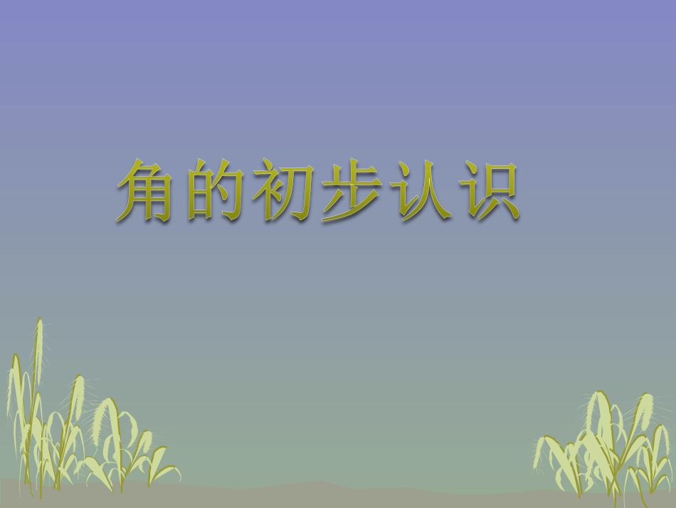角的初步认识-(2)_第1页