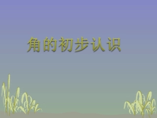 角的初步认识-(2)
