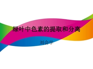 活动：光合色素的提取和分离