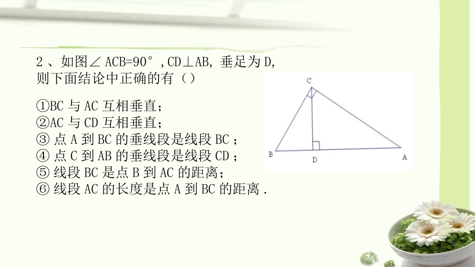 垂线及其性质_第2页