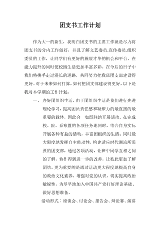 大一团支书工作计划