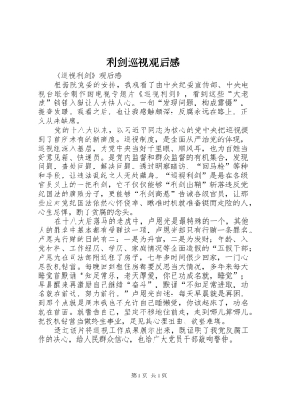 利剑巡视观后心得