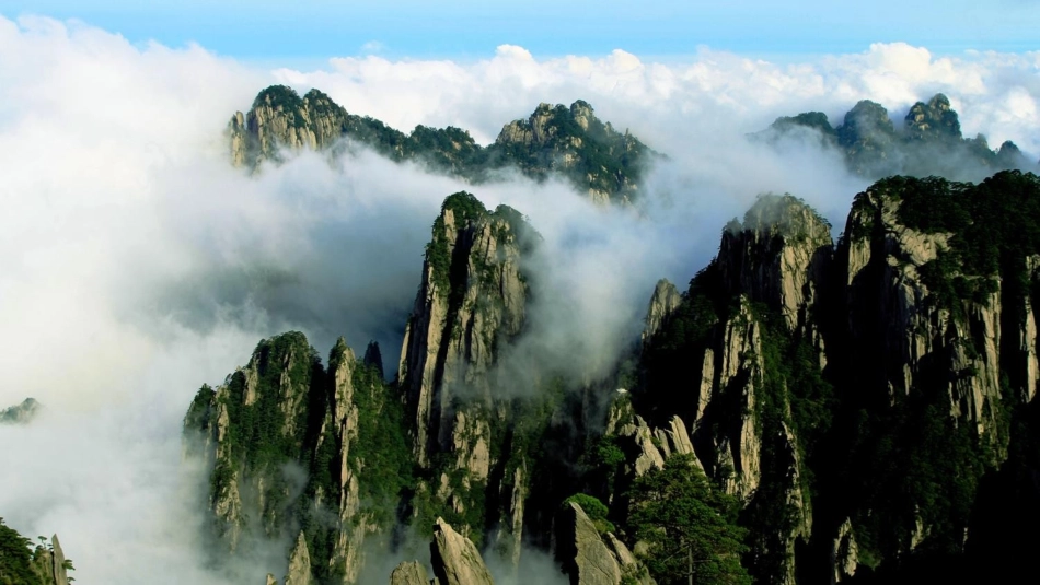 19雾在哪里_第1页