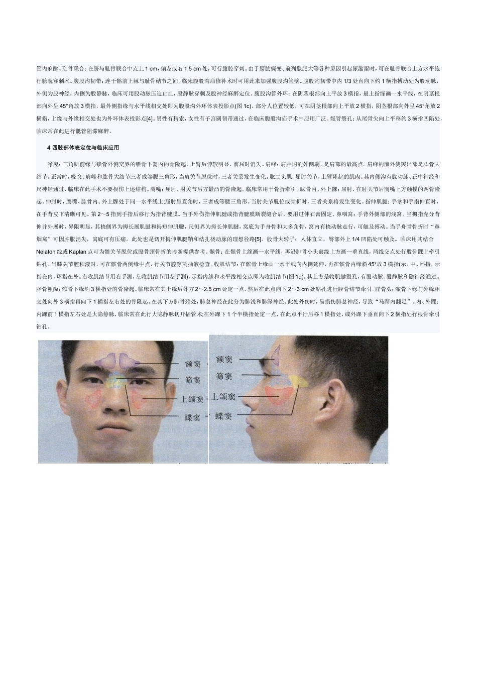 超级实用人体常用体表标志_第2页