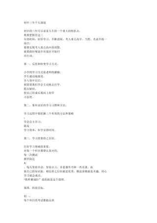 初中三年个人规划