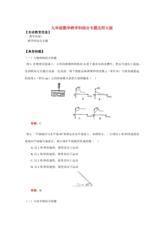 九年级数学跨学科综合专题北师大版知识精讲试卷
