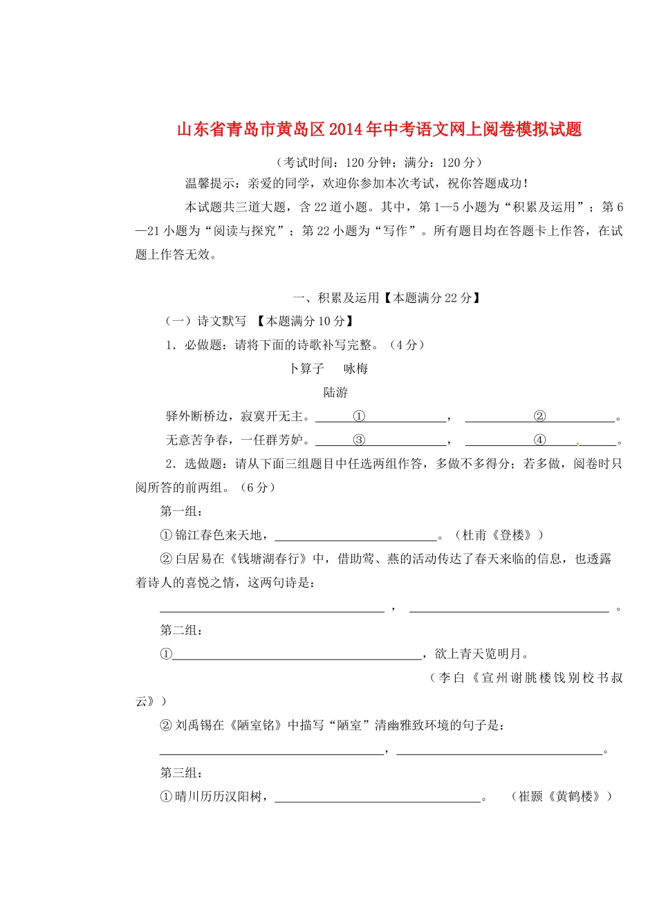 中考语文网上阅卷模拟试卷试卷_第1页