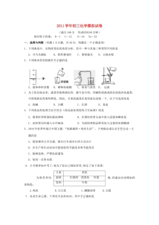 九年级化学模拟试卷 北师大版试卷