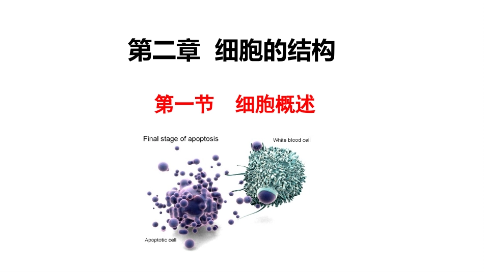 第一节细胞概述_第1页