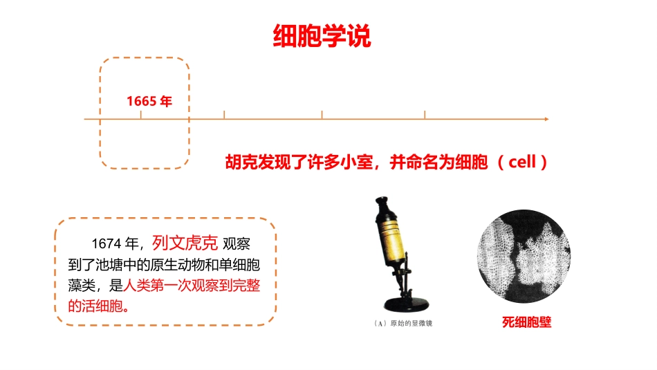 第一节细胞概述_第3页