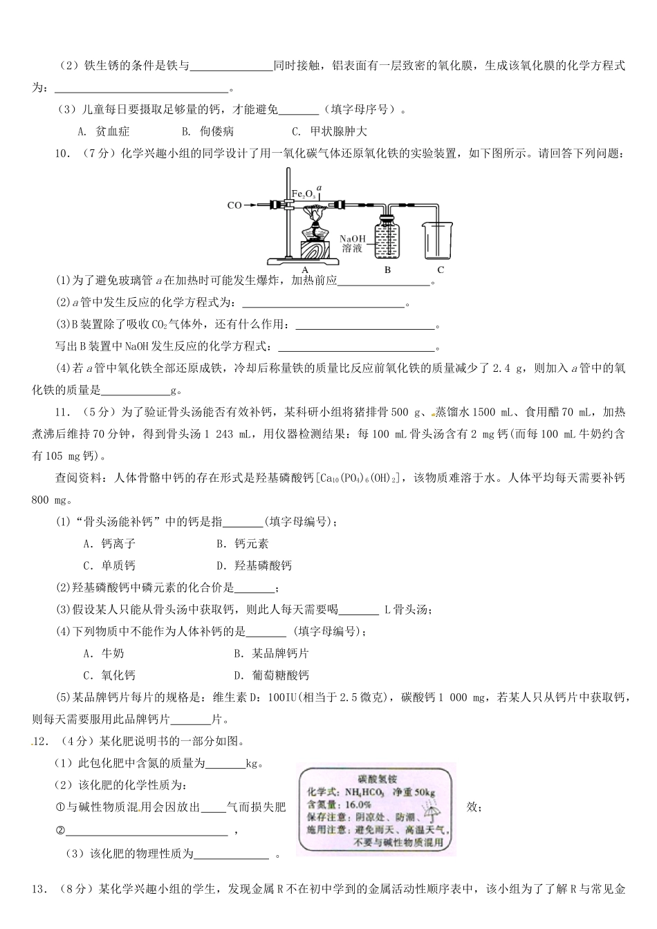 九年级化学3月检测试卷 鲁教版试卷_第2页