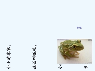 (部编)人教语文2011课标版一年级下册《小青蛙》课件-(3)