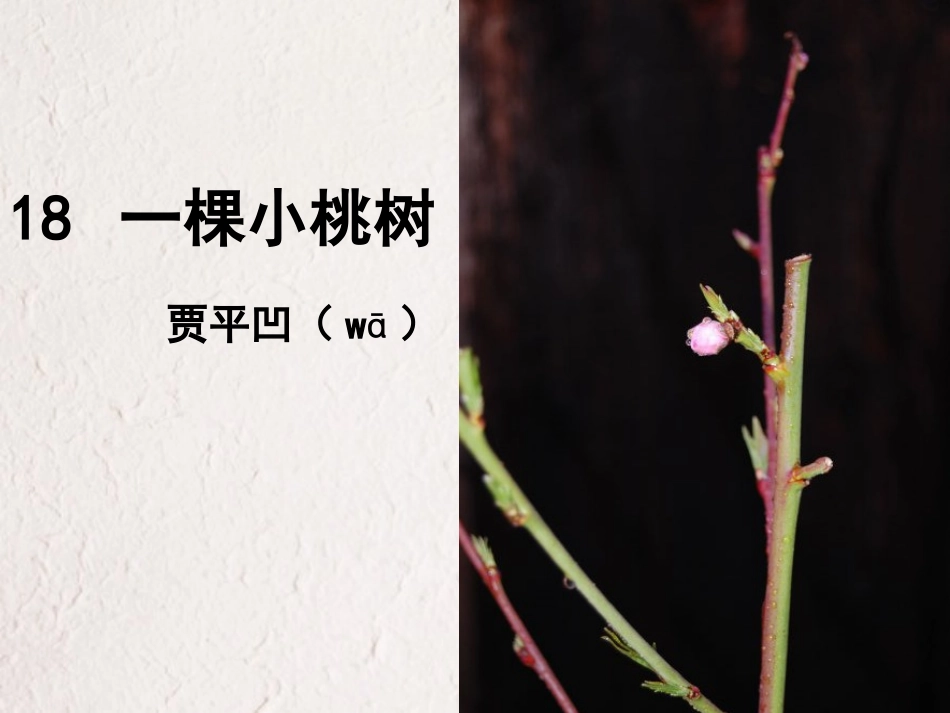 (部编)初中语文人教2011课标版七年级下册一棵小桃树-课件-(3)_第1页