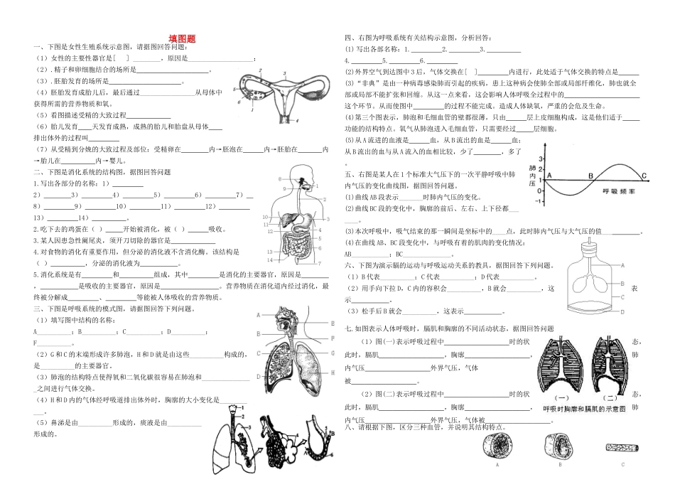 中考生物 七下 复习资料 识图题试卷_第1页