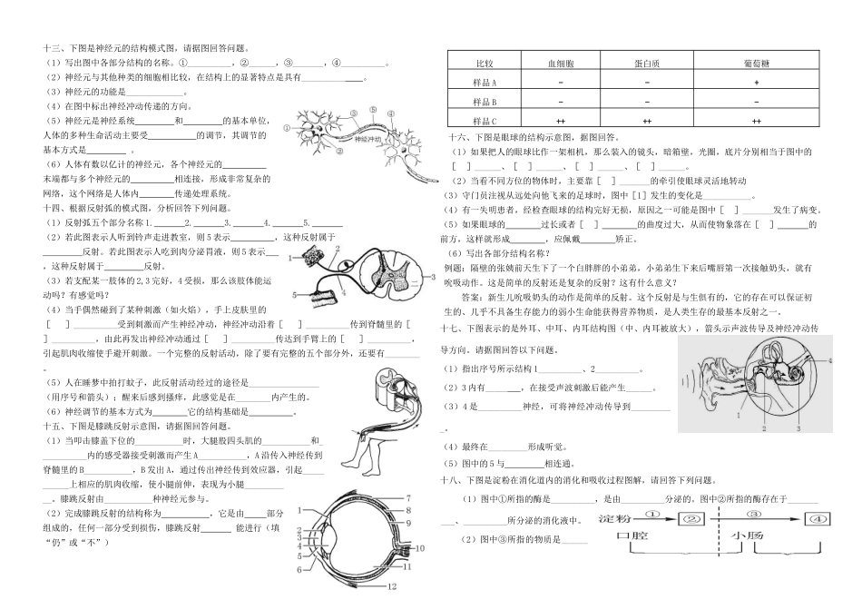 中考生物 七下 复习资料 识图题试卷_第3页