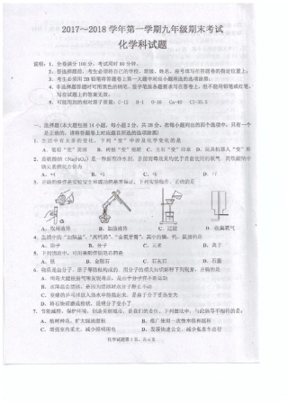 九年级化学上学期期末模拟试卷(pdf) 新人教版试卷