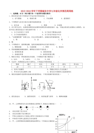 九年级化学下学期第四周周练试卷试卷