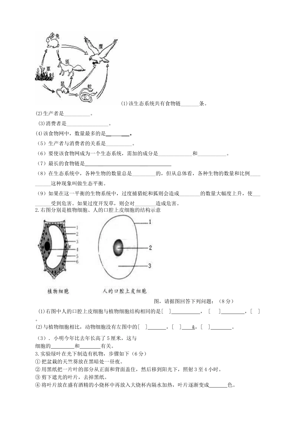 中考生物模拟试卷 人教新课标版试卷_第3页