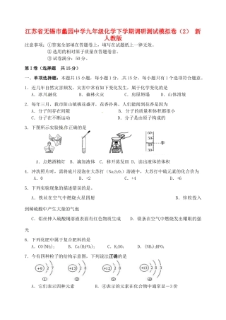 九年级化学下学期调研测试模拟卷(2) 新人教版试卷