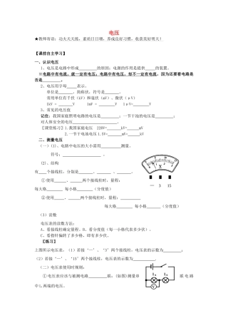九年级物理上册 42 电压 电流产生的原因学练案(新版)教科版试卷