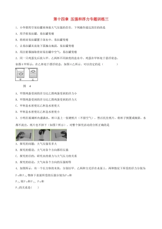 九年级物理 第十四章压强和浮力专题训练三 人教新课标版试卷