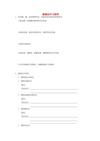 九年级化学下册 第十单元 酸和碱 酸碱盐学习提纲(新版)新人教版试卷