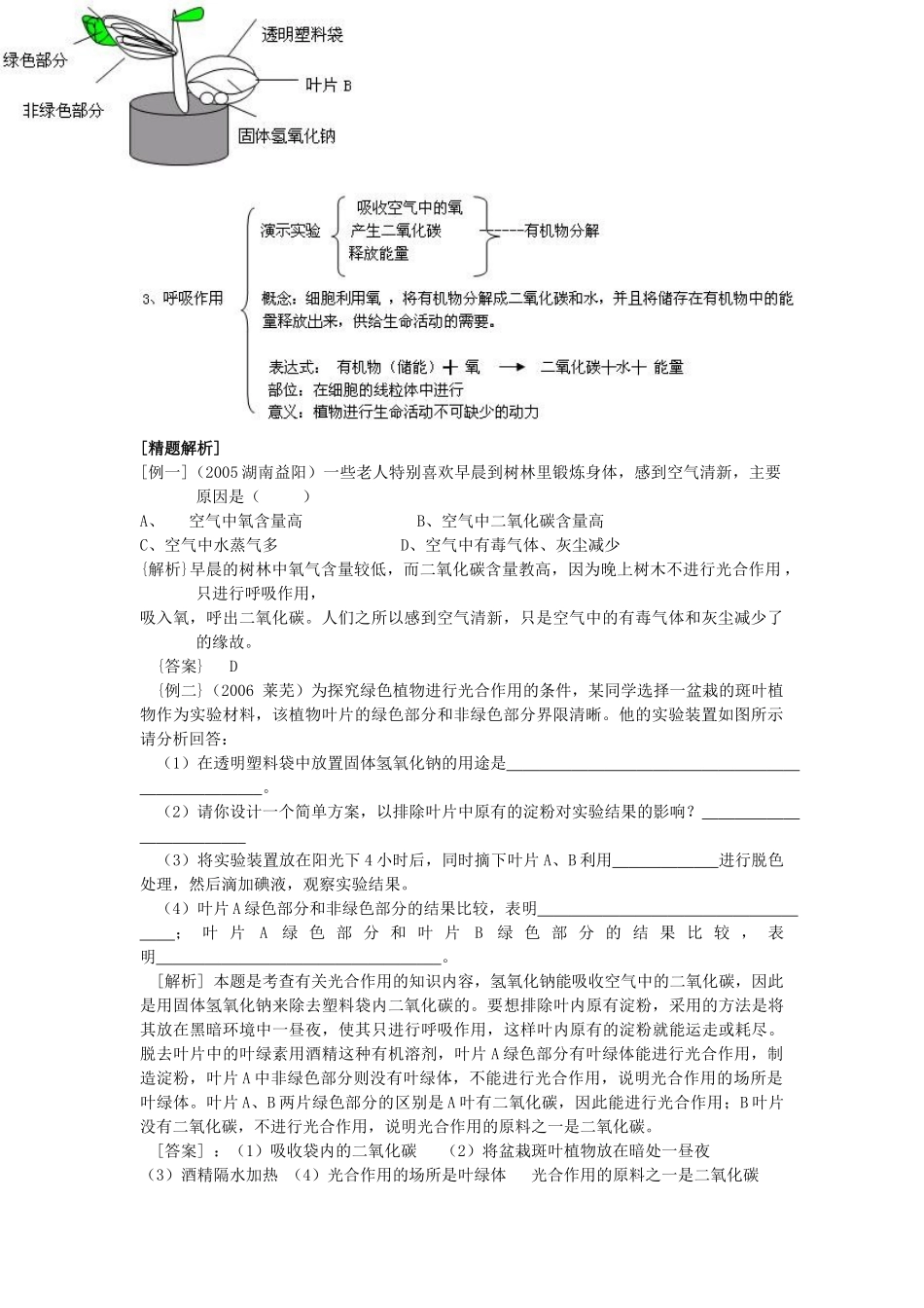 中考生物 专题五被子植物的蒸腾作用 呼吸作用和光合作用 北师大版试卷_第2页