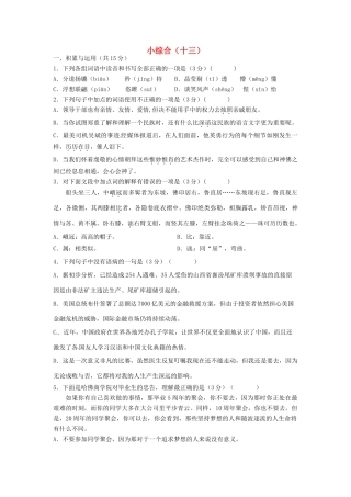 中考语文第二轮复习 小综合(十三)试卷