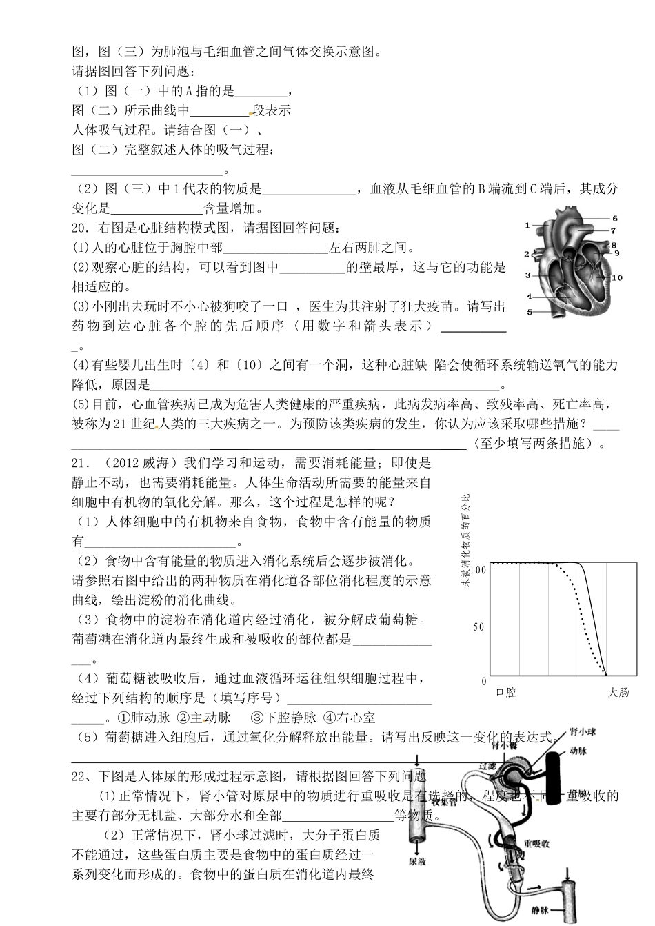 九年级下册 专题训练四 生物圈中的人 新人教版试卷_第3页