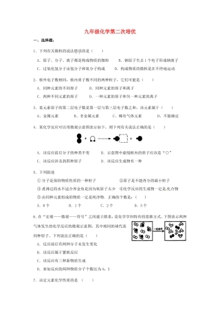 九年级化学上学期第2次培优训练 新人教版试卷