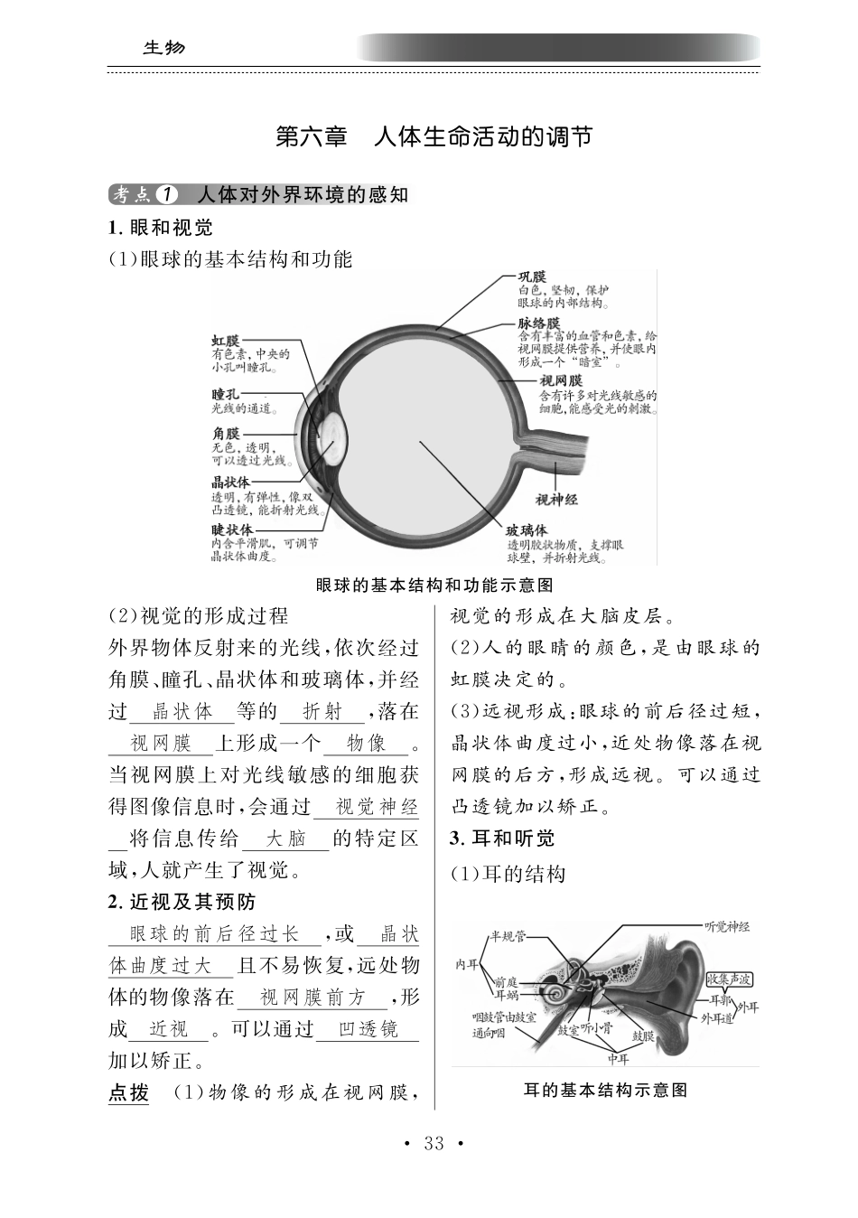中考生物总复习 第五部分 生物圈中的人 专题十三 人体生命活动的调节知识梳理(pdf)试卷_第1页