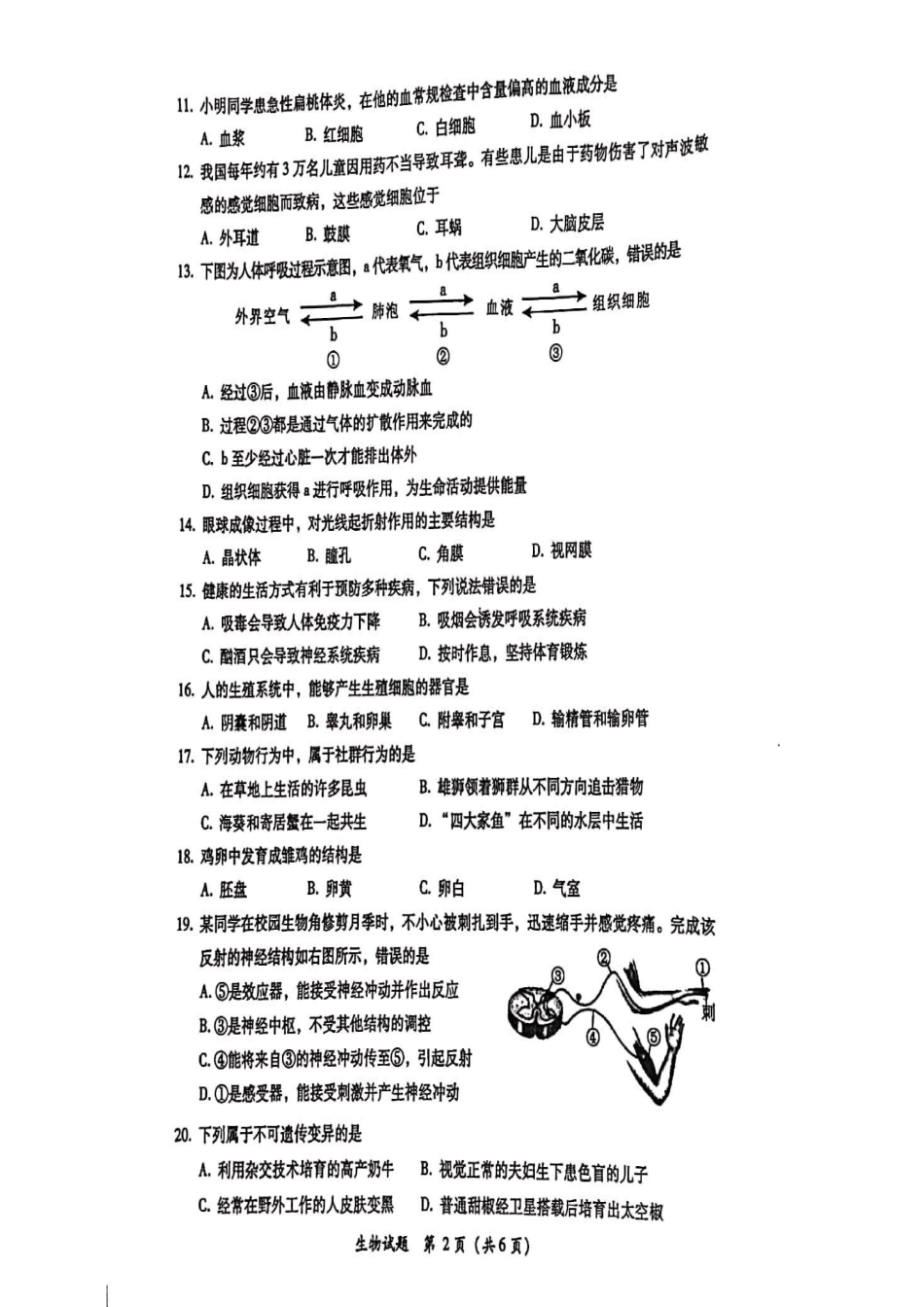 初中生物学业水平模拟试卷(pdf) 试题_第2页