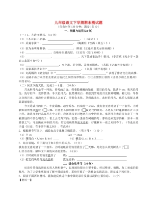 九年九年级语文下学期期末测试卷 新人教版试卷
