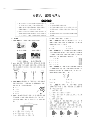 中考物理分类精粹 专题八 压强与浮力(课标导航真题演练)(pdf)试卷