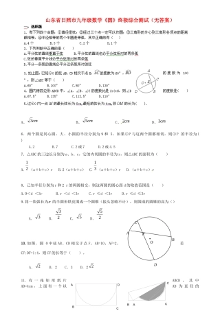 九年级数学(圆)终极综合测试试卷