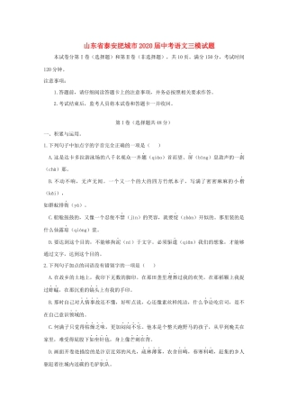 中考语文三模试卷