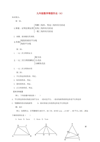 九年级数学上学期寒假作业试卷(4) 青岛版试卷