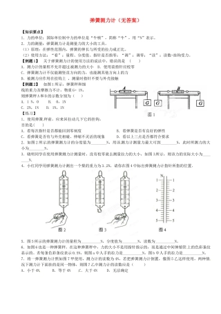 中考物理总复习 弹簧测力计试卷