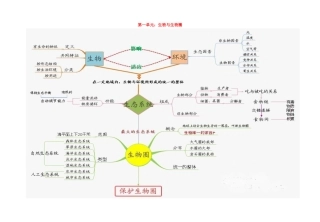 中考生物 第一单元 生物与生物圈 结构图及知识点梳理试卷